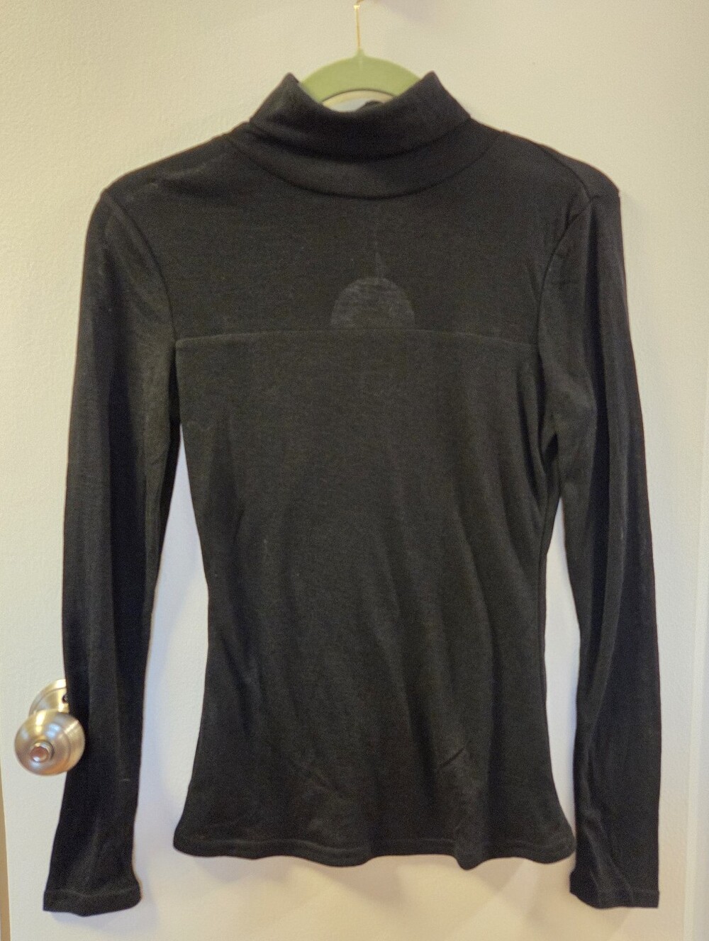 Partially Sheer Black Turtle Neck Top
